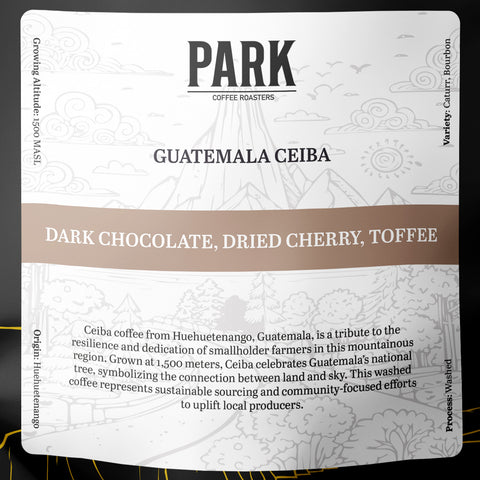 Guatemala Ceiba