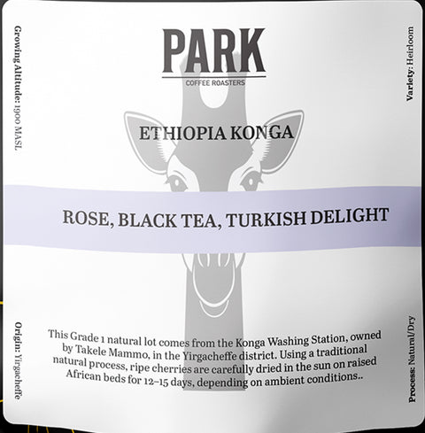Ethiopia Konga